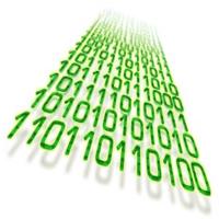 Bits And Bytes