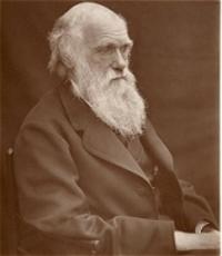 Darwin