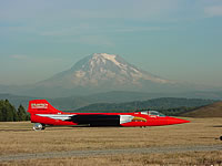 NorthAmericanEagle